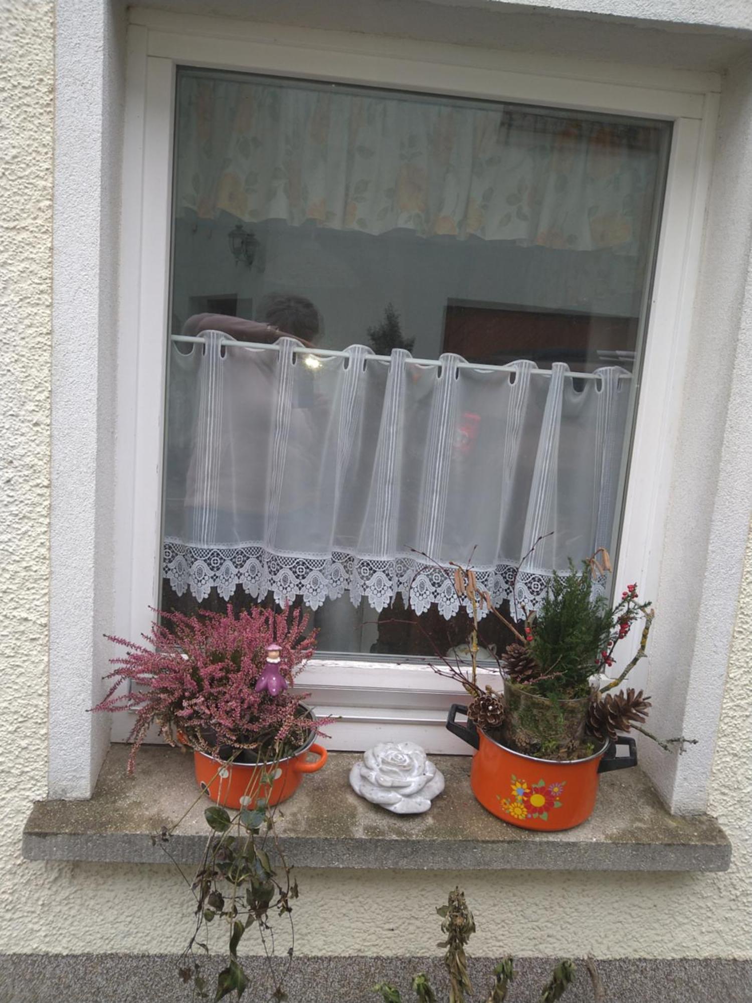 Ferienhaus Johanna & Ferienwohnung Thum Weischlitz Oda fotoğraf